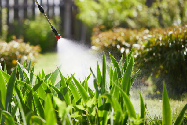 Tamper-Resistant Bait Stations for Rodents in Dadeville