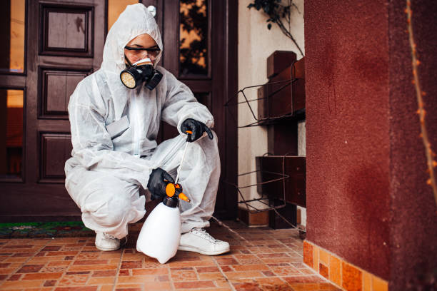 Attic and Crawl Space Rodent Treatment in Dadeville