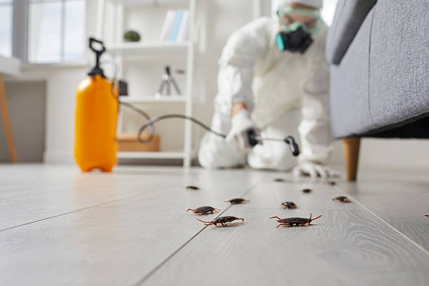 Commercial Rodent Management in Dadeville